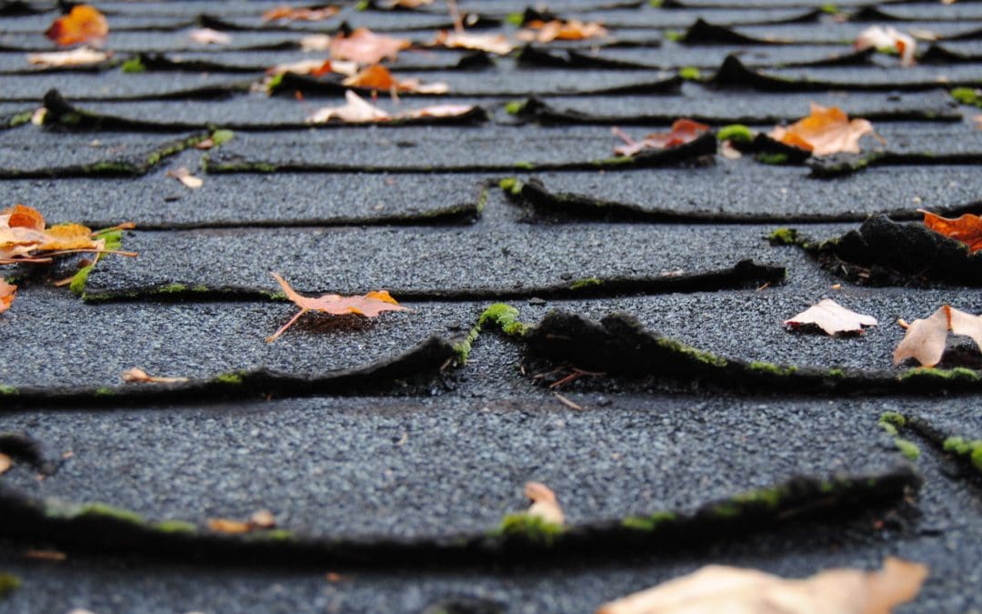 need a new roof