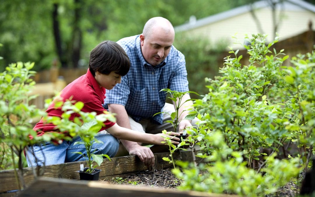 prepare your garden for spring