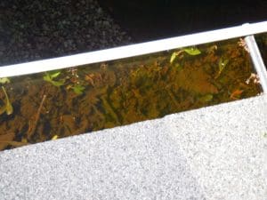 keep water away from your foundation