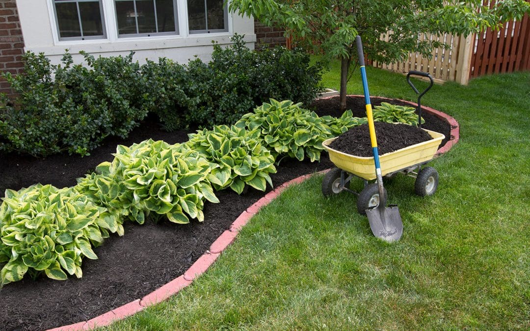 spring outdoor home maintenance