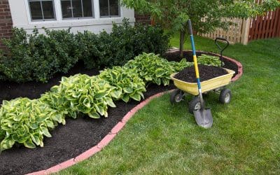 5 Tips for Spring Outdoor Home Maintenance