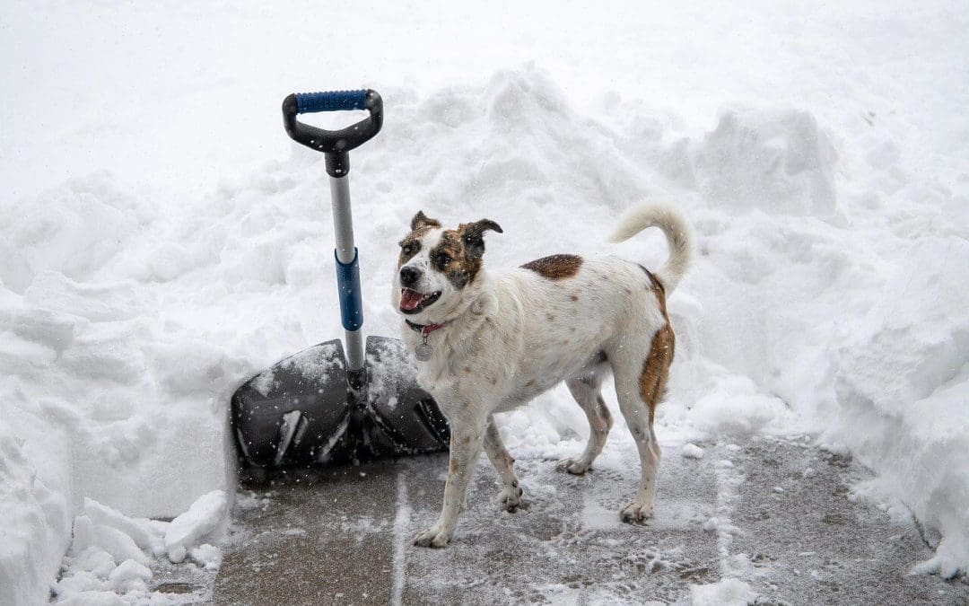 winter safety
