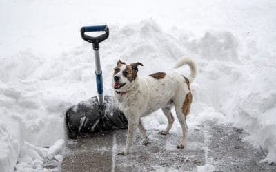 5 Tips for Winter Safety