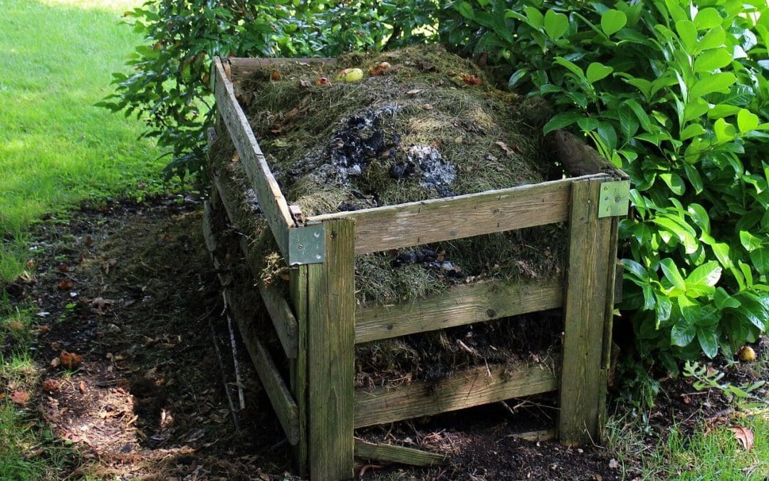 landscaping on a budget