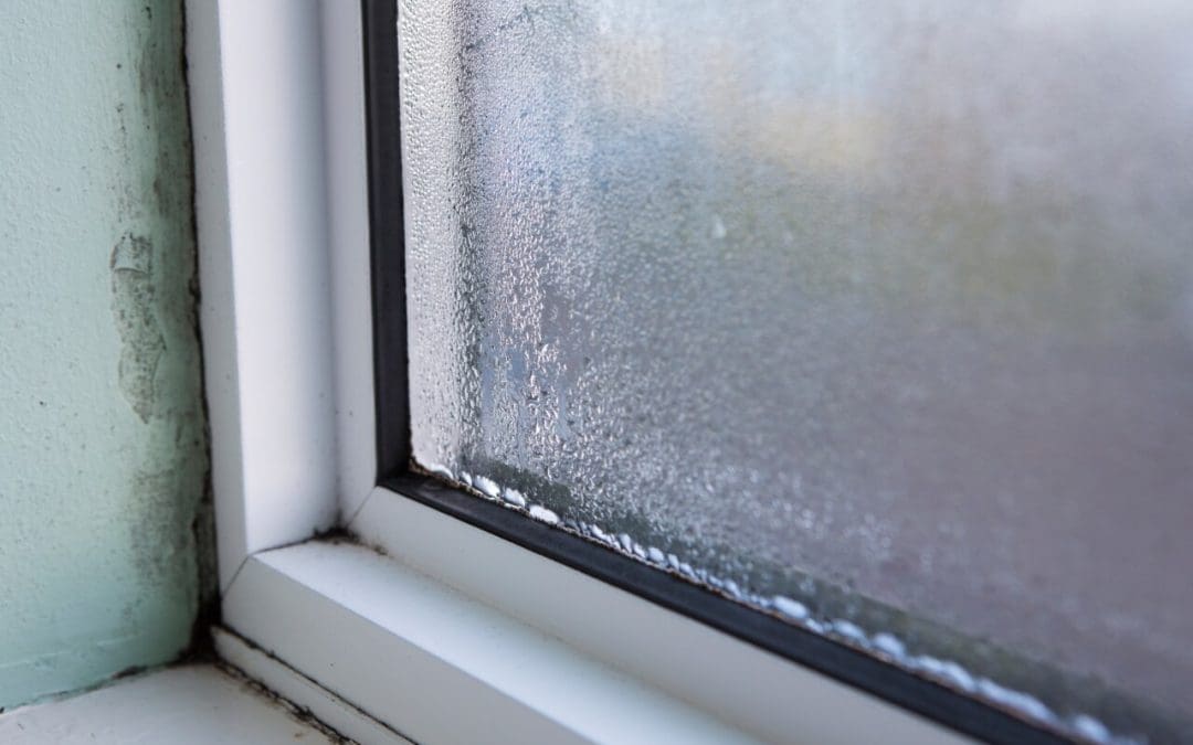prevent mold growth