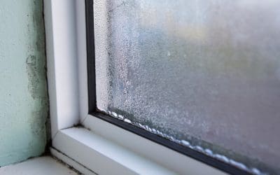 8 Ways to Prevent Mold Growth in a Home